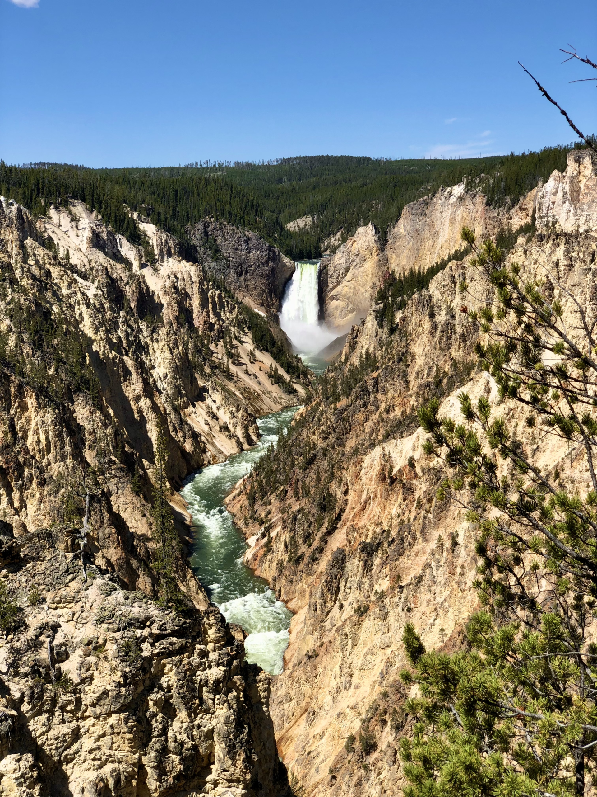 Jour 10 entrée dans Yellowstone