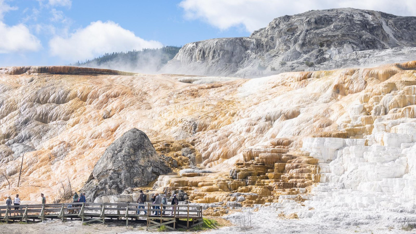 Jour 11 Yellowstone et geysers