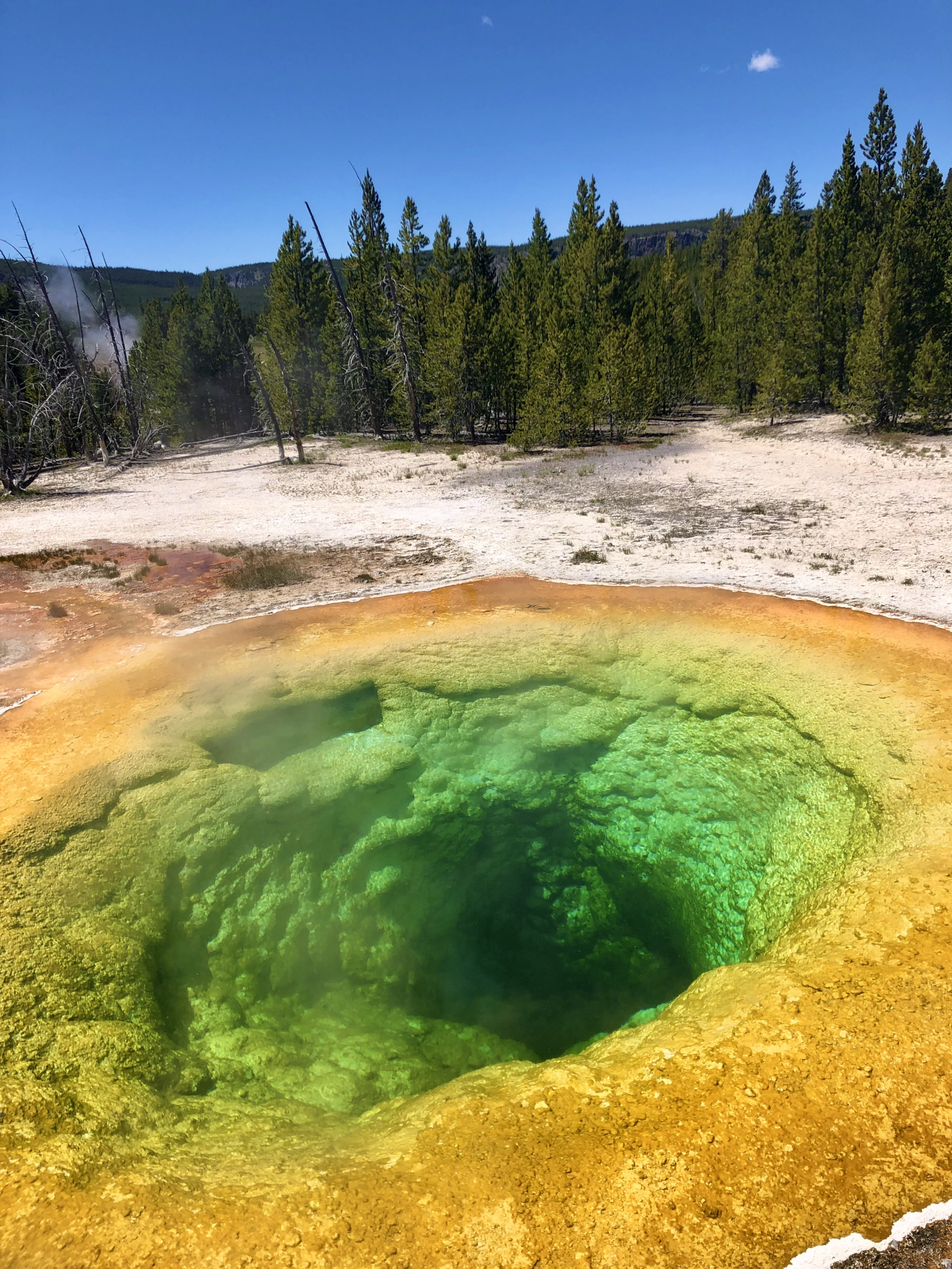 Jour 12 Old Faithful