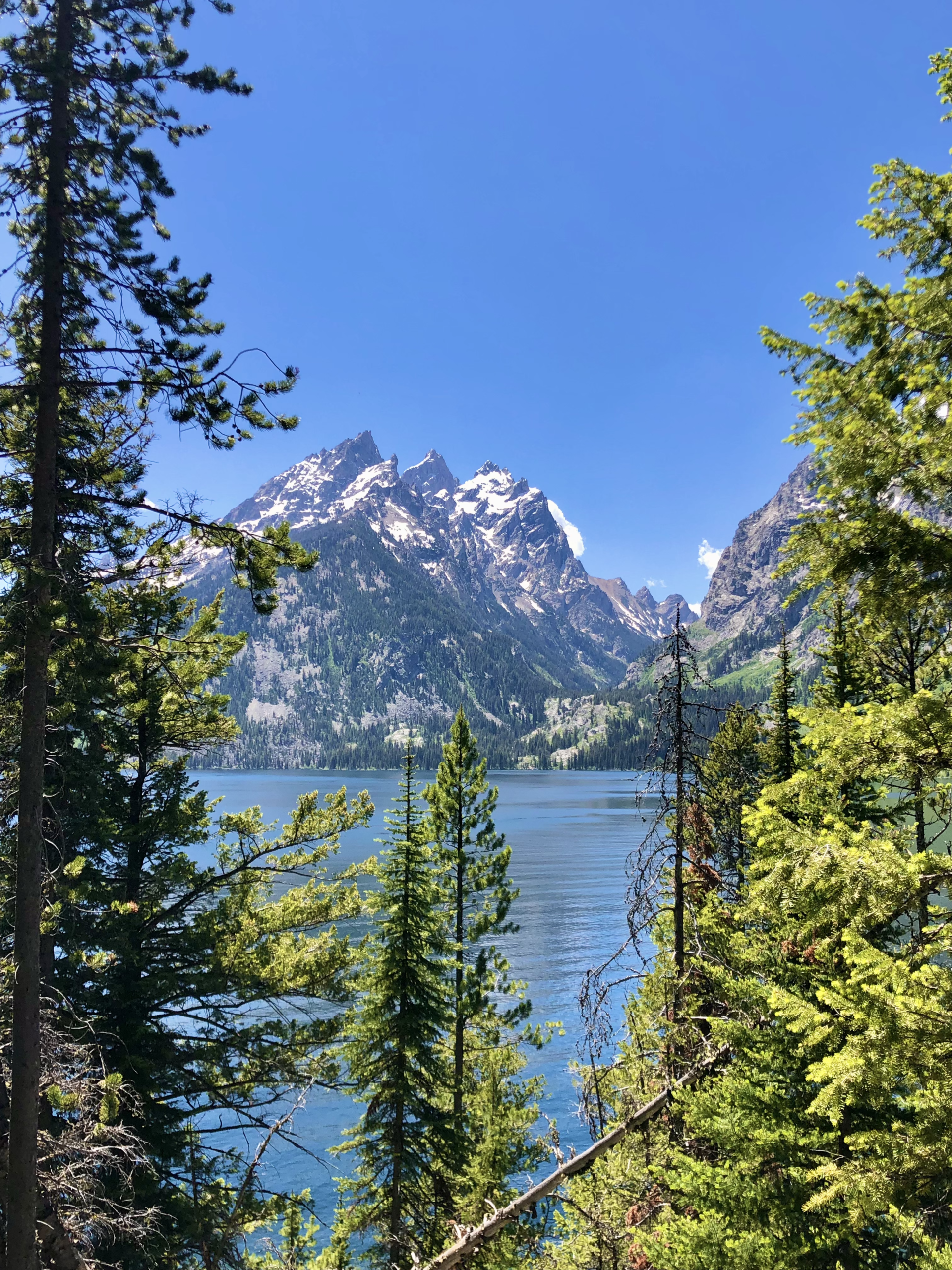Jour 15 Jenny Lake